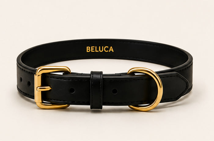 BELUCA Collar