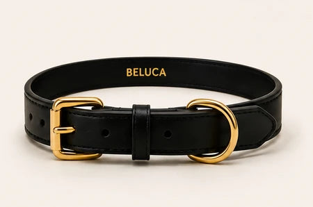 BELUCA Collar
