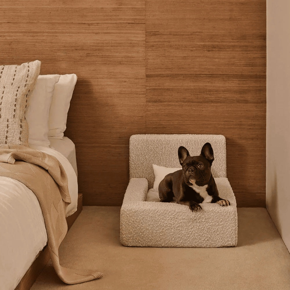 Modern Rectangular Pet Sofa Bed