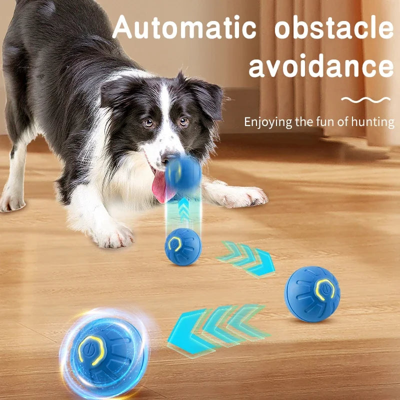 Smart Interactive Dog Ball