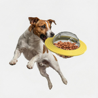 OrbitIQ 3-in-1 Interactive Dog Toy