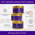 Natural Pet Odor Eliminator Candle