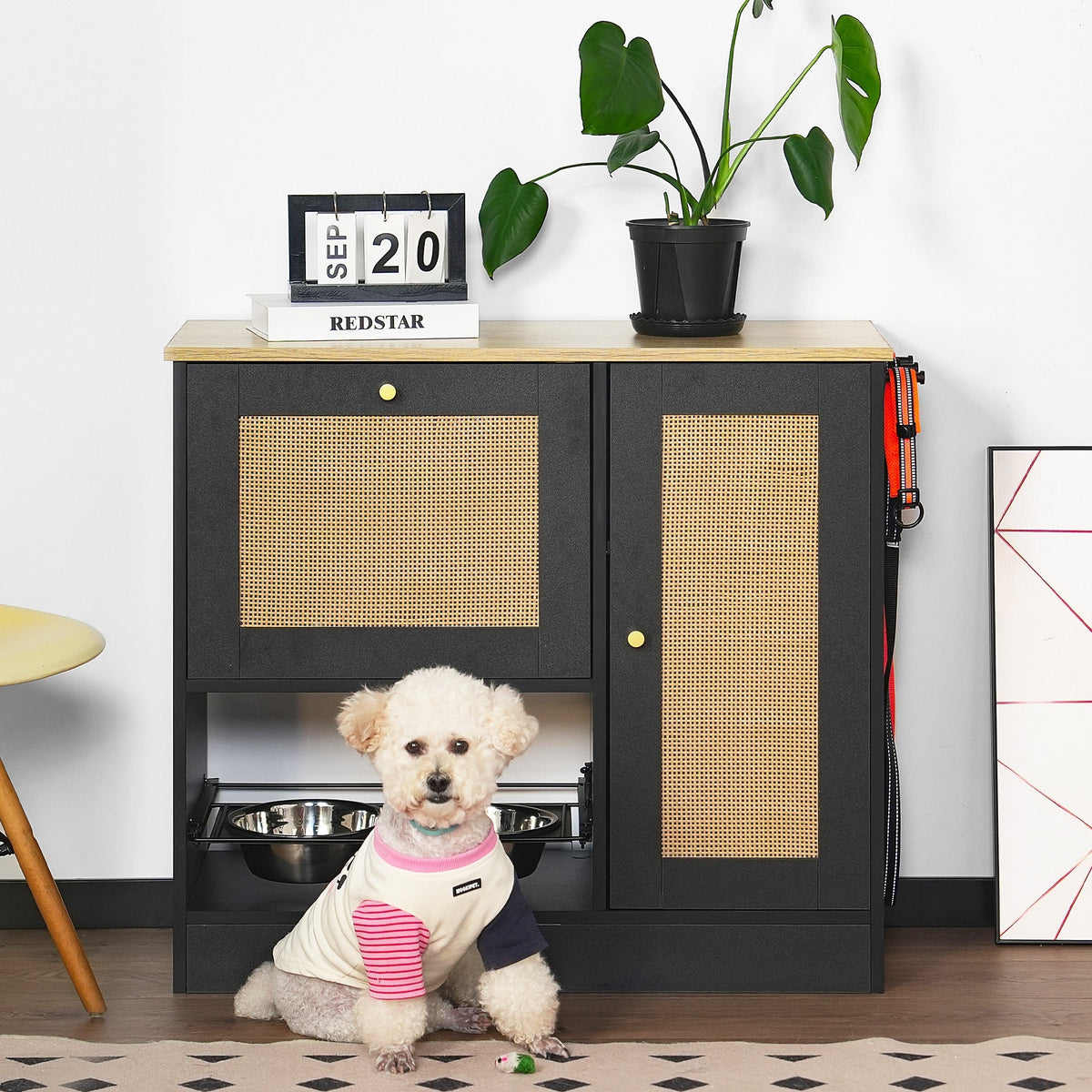 Elevated Feeding Station with Storage – Black