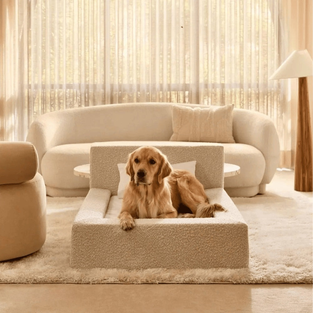 Modern Rectangular Pet Sofa Bed