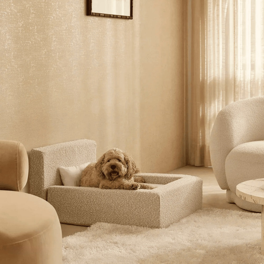 Modern Rectangular Pet Sofa Bed