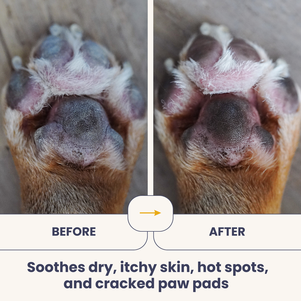 Organic Virgin Coconut Oil for Dogs & Cats
