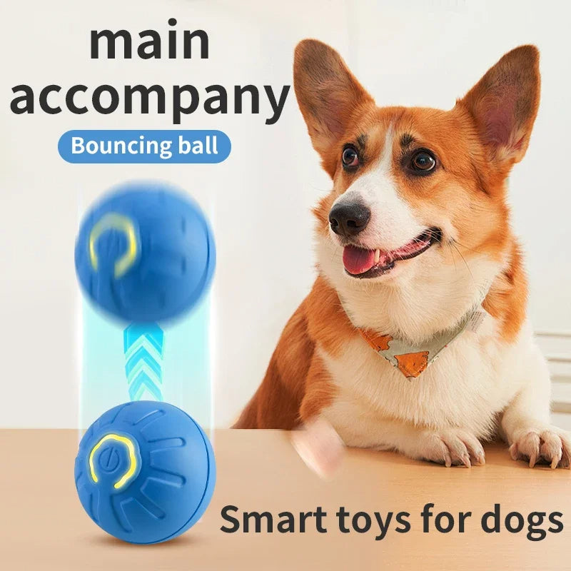 Smart Interactive Dog Ball