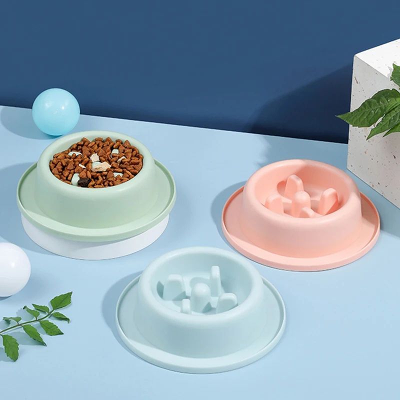 Slow-Feeder Dog Bowl