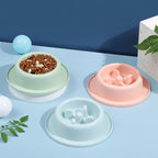 Slow-Feeder Dog Bowl