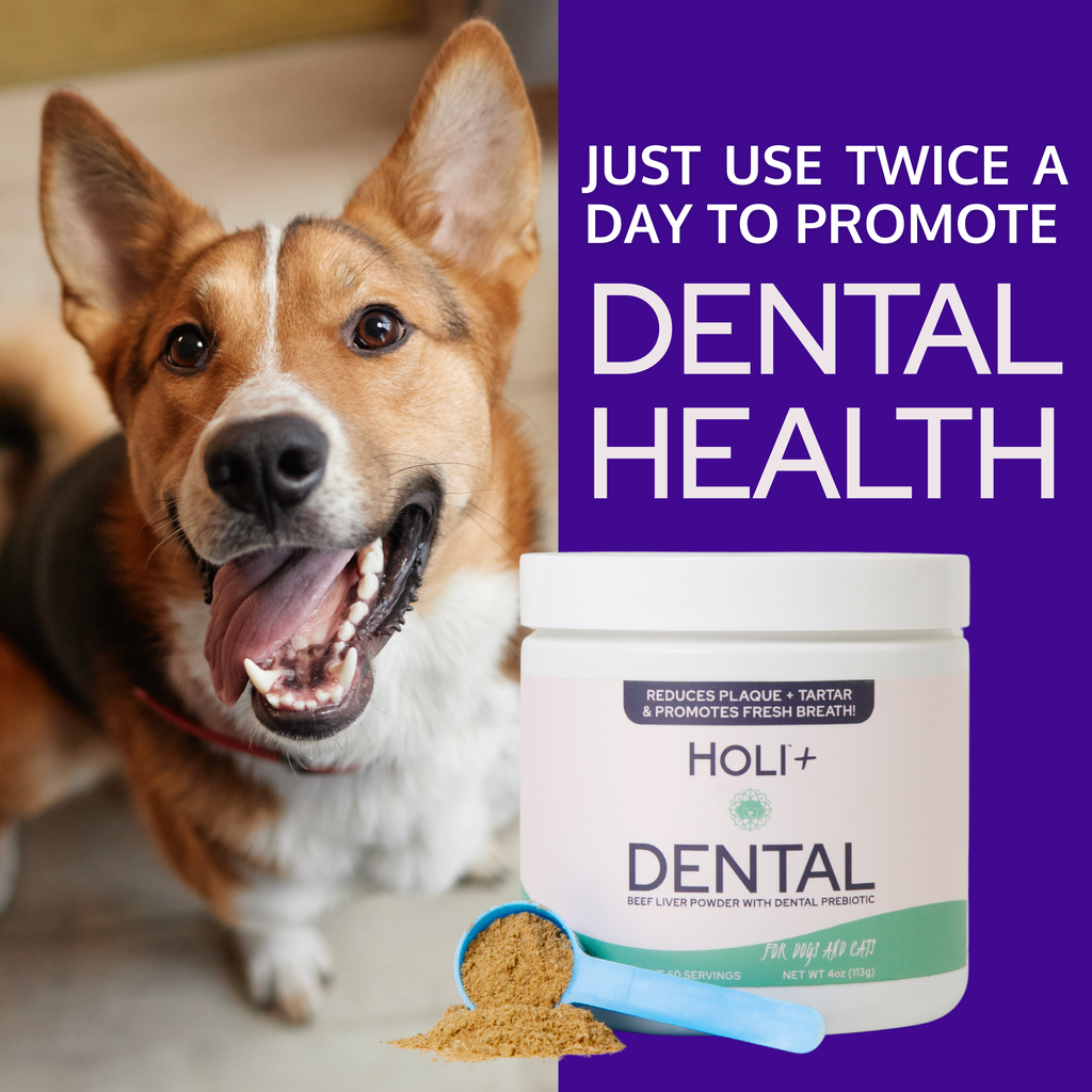 Dental Health Bundle — Topper + Salmon Skin Chews
