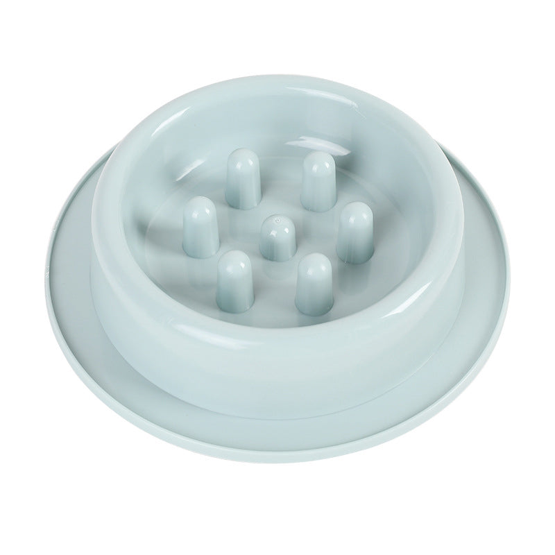 Slow-Feeder Dog Bowl