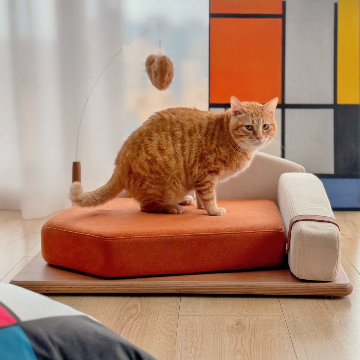Modern Wooden Pet Bed