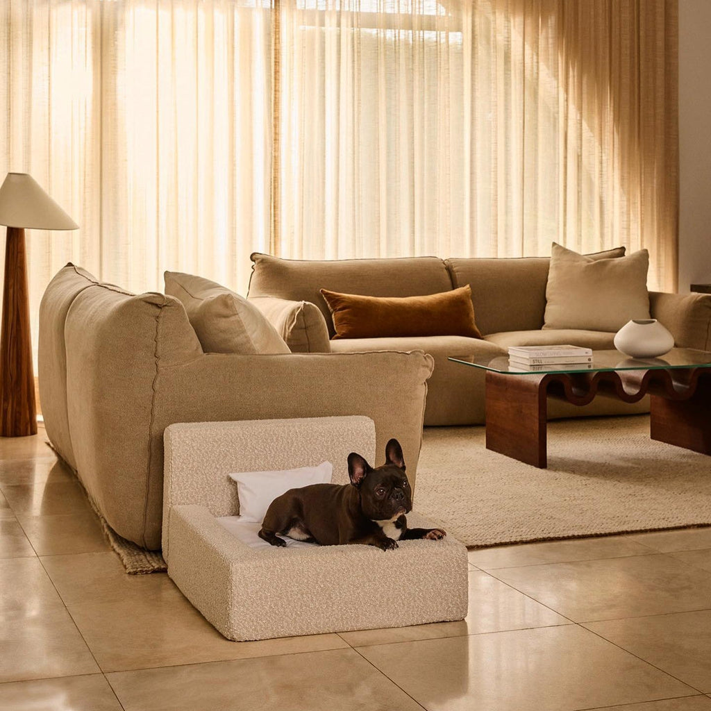 Modern Rectangular Pet Sofa Bed
