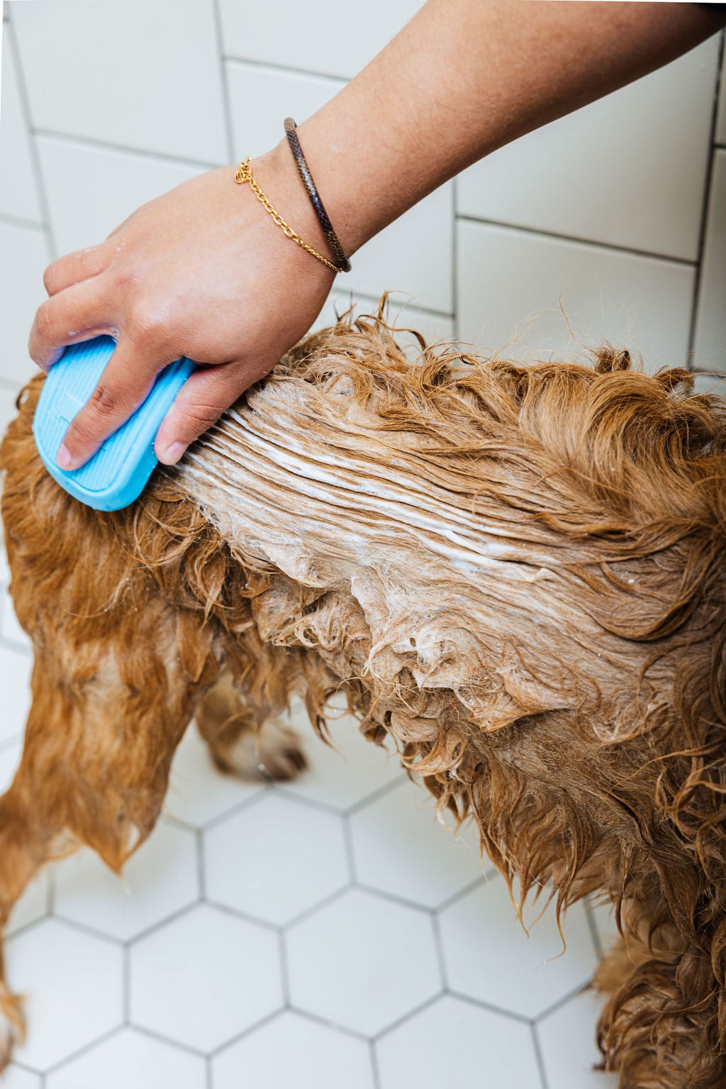 Spaw Day — Dog Shampoo & Conditioner Duo