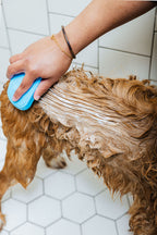 Spaw Day — Dog Shampoo & Conditioner Duo