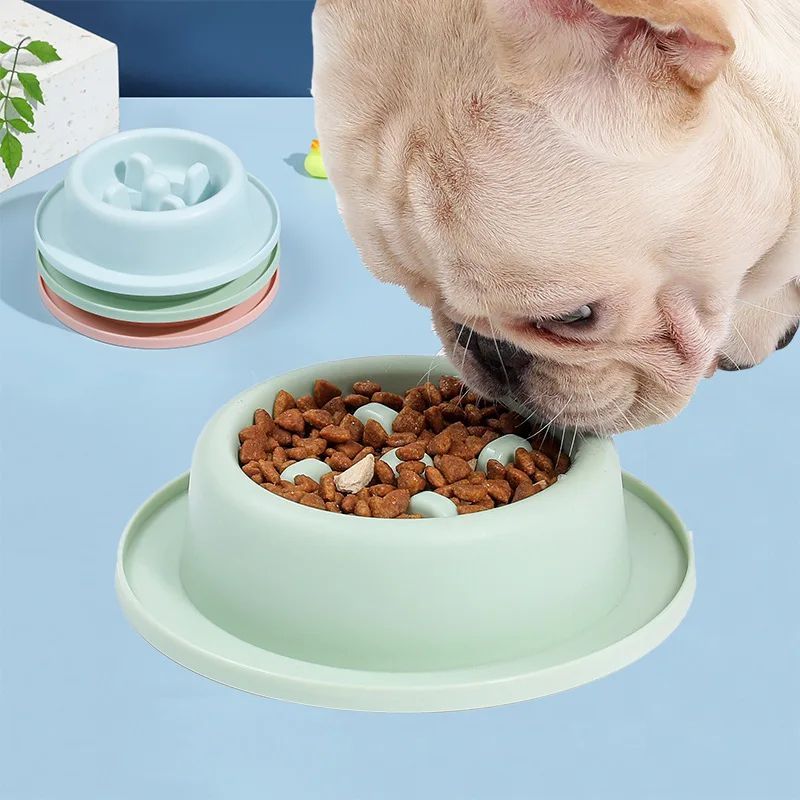 Slow-Feeder Dog Bowl