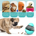 Interactive Slow-Feeder Puzzle Toy