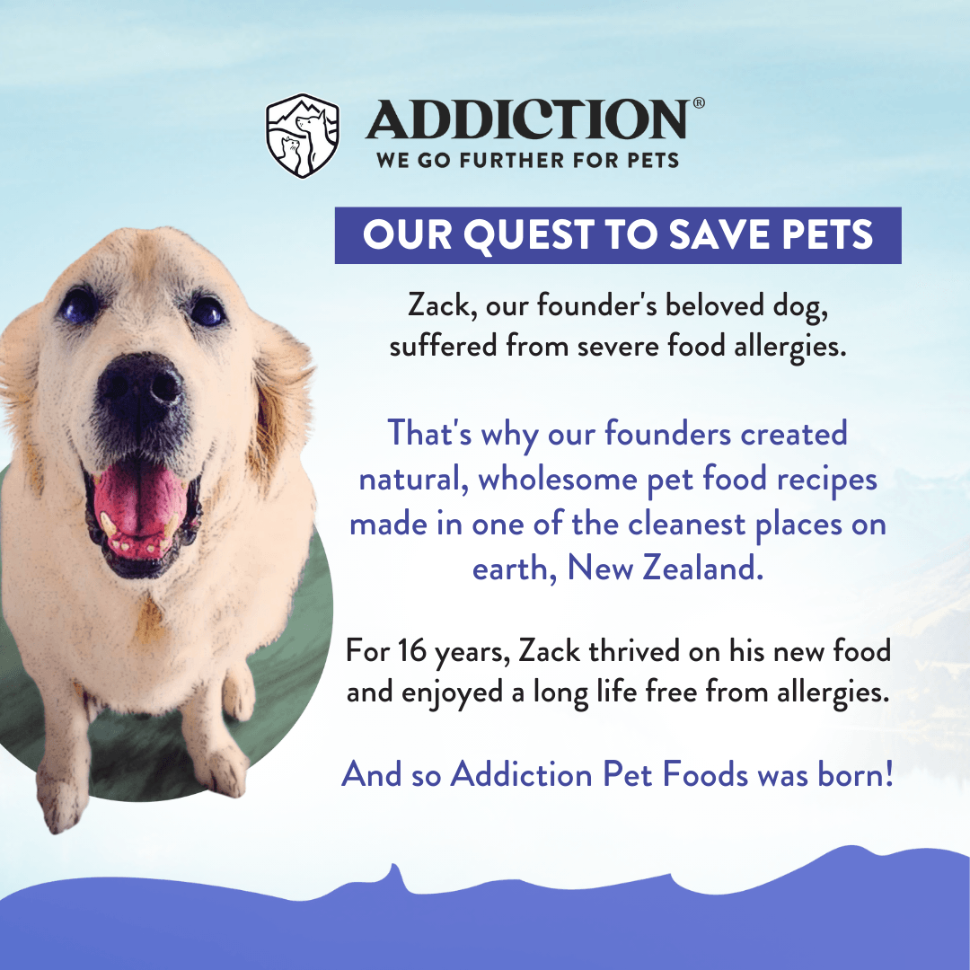 Duck Royale Grain-Free Small Breed Dry Dog Food