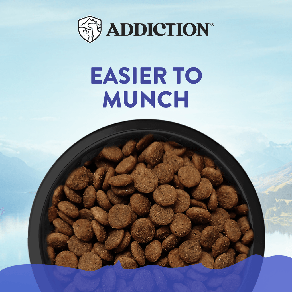 Duck Royale Grain-Free Small Breed Dry Dog Food