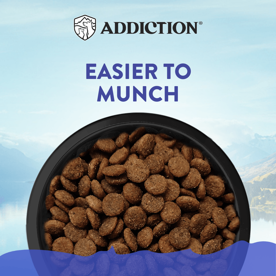 Duck Royale Grain-Free Small Breed Dry Dog Food