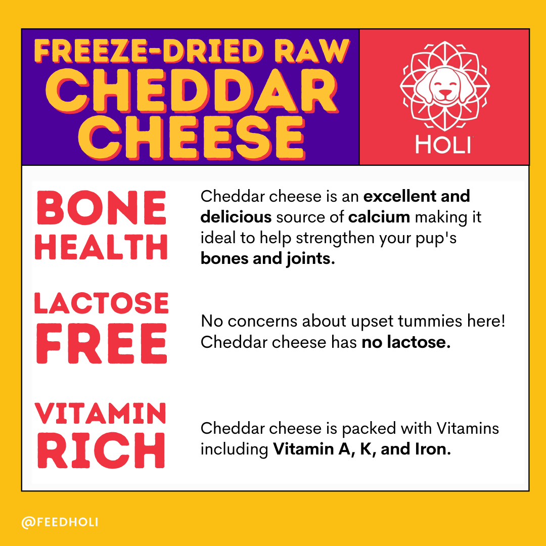 Freeze-Dried Cheddar Cheese Dog Treats