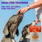 Freeze-Dried Cheddar Cheese Dog Treats