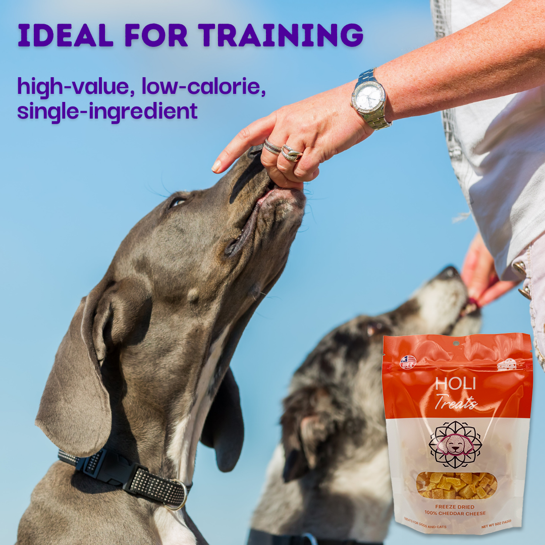 Freeze-Dried Cheddar Cheese Dog Treats