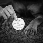 Nose & Paw Balm — 2 oz