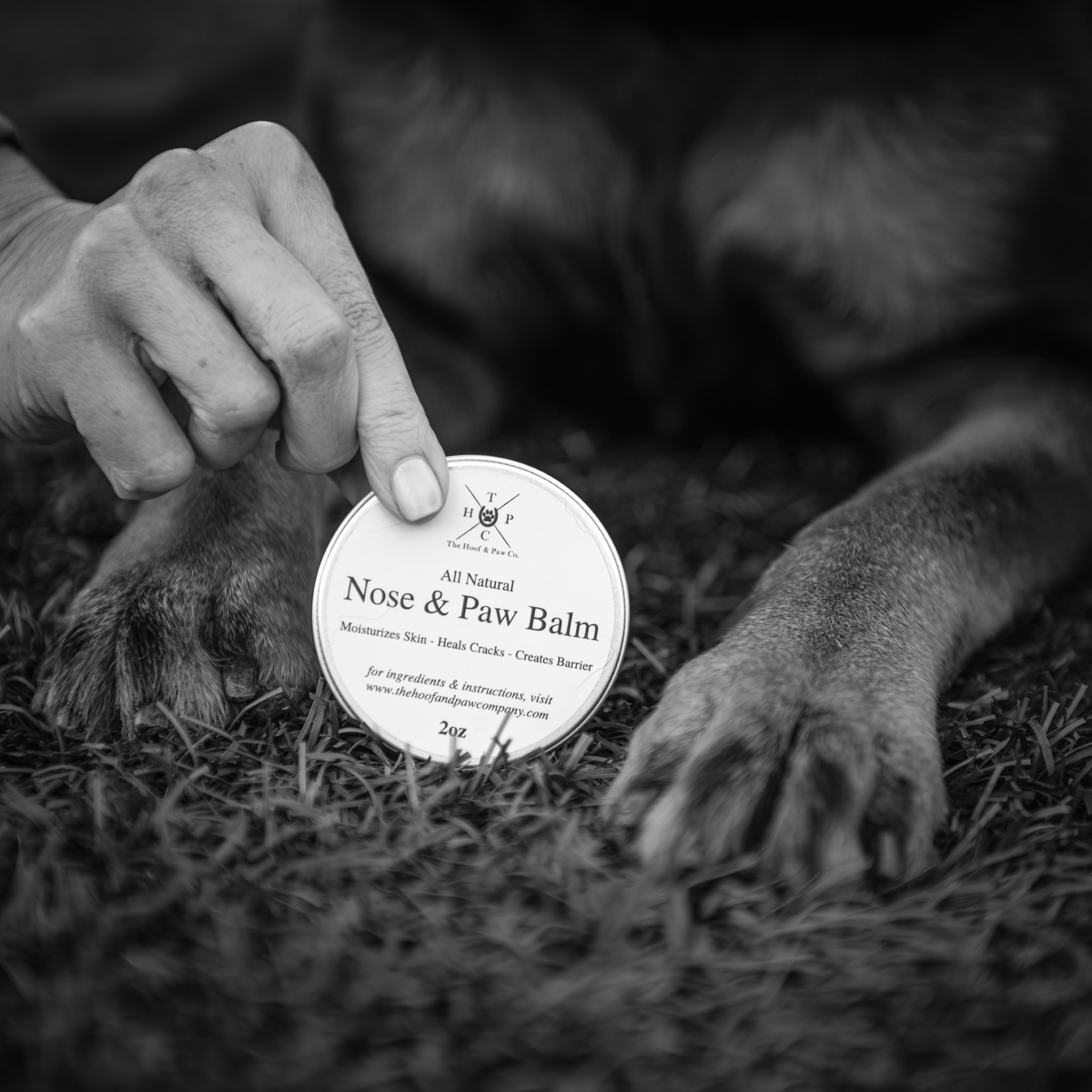 Nose & Paw Balm — 2 oz
