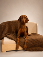 The Haven — Handcrafted Orthopedic Dog Bed