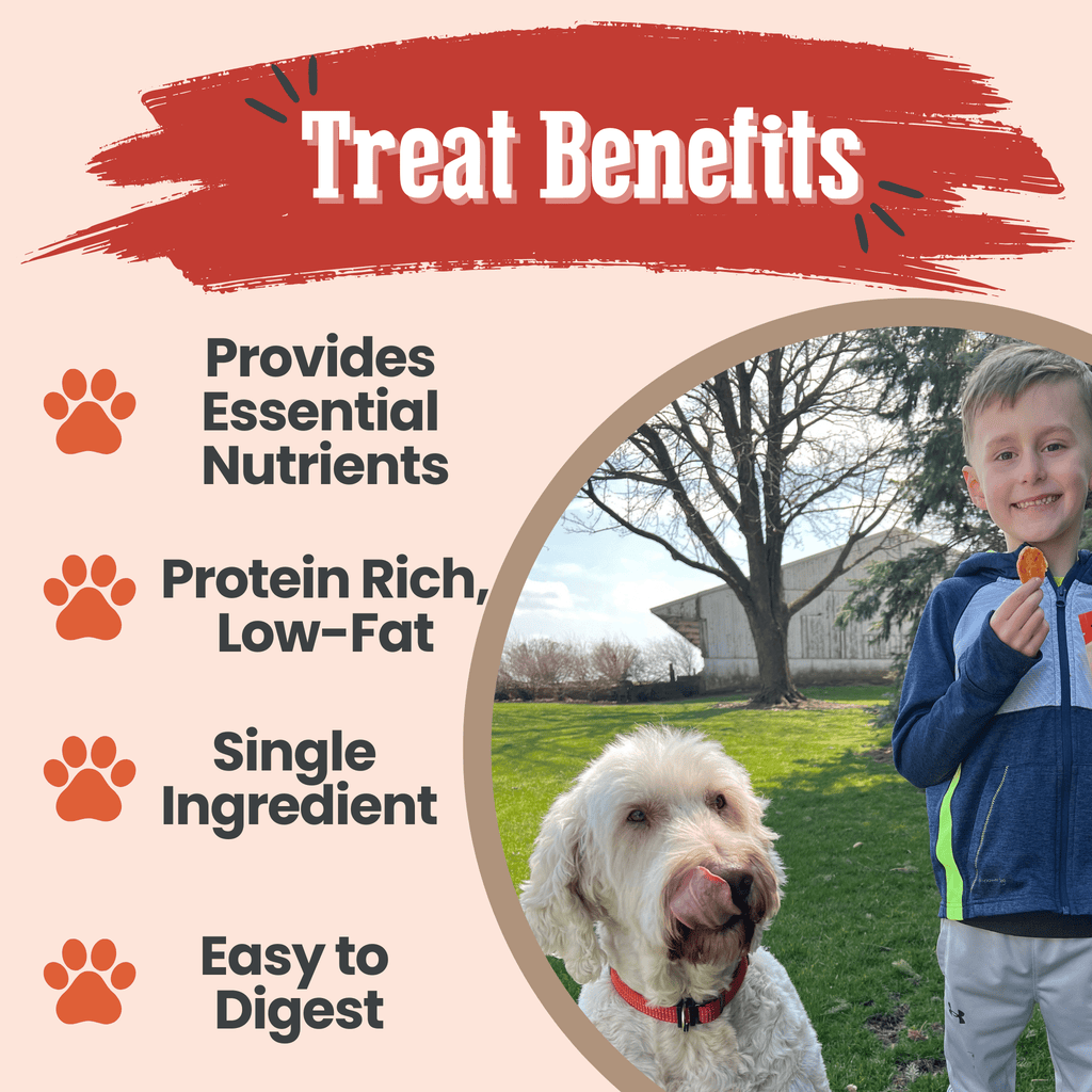 Single-Ingredient Turkey Chips Dog Treats