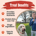 Single-Ingredient Turkey Chips Dog Treats