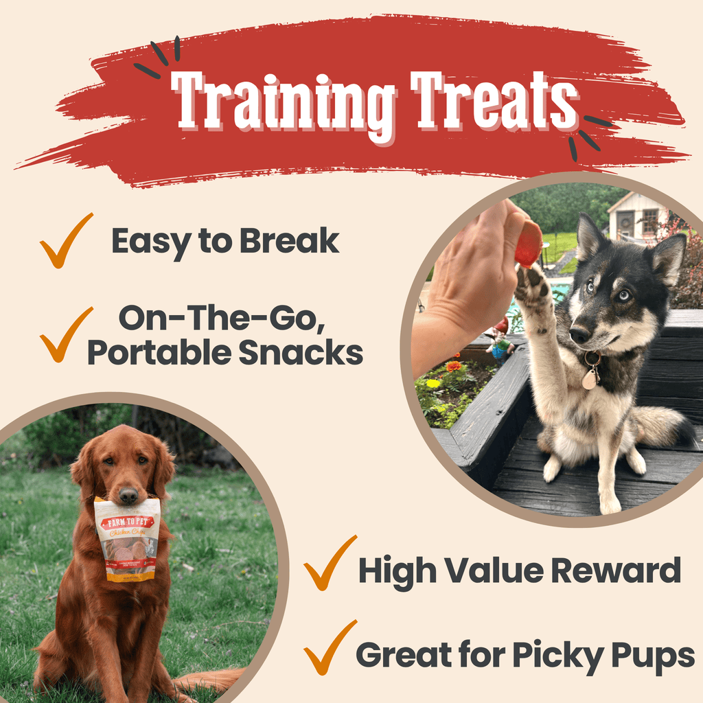 Turkey & Chicken Chip Treat Duo