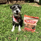 Single-Ingredient Turkey Chips Dog Treats