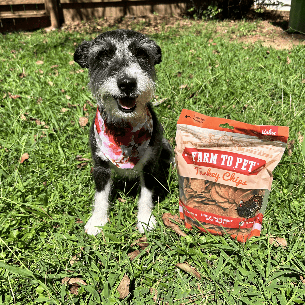Single-Ingredient Turkey Chips Dog Treats