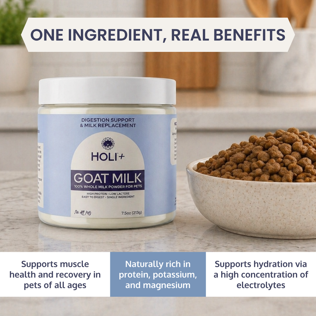 HOLI Goat Milk Powder for Dogs & Cats