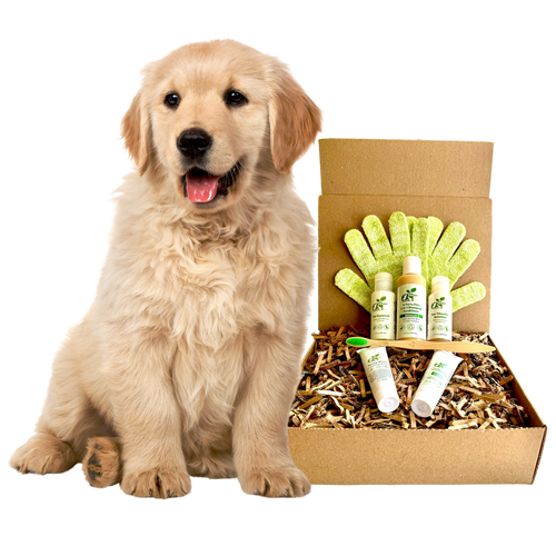 4-Furry Dogs Restorative Grooming Kit