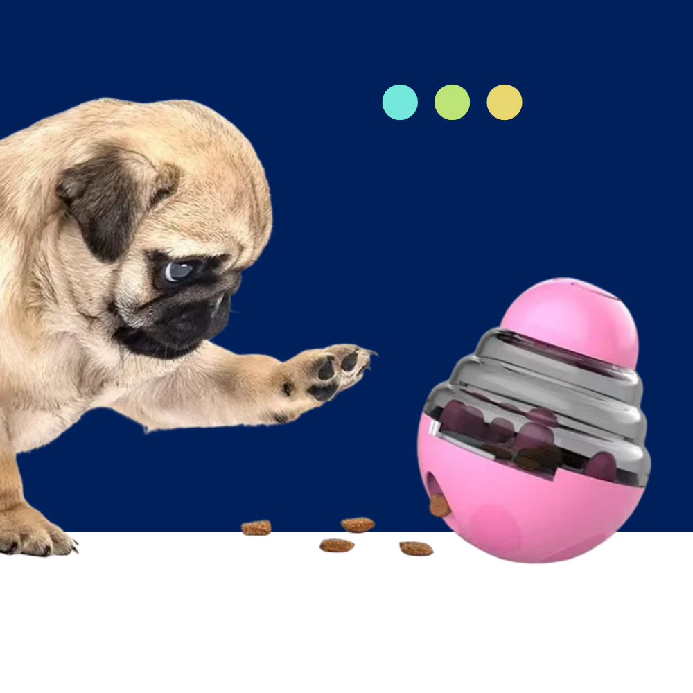 Interactive Slow-Feeder Puzzle Toy