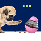 Interactive Slow-Feeder Puzzle Toy