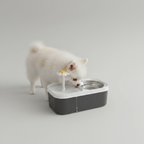 Circulating Pet Water Fountain