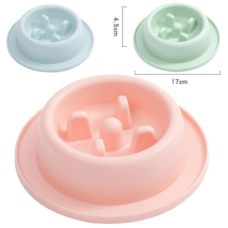 Slow-Feeder Dog Bowl
