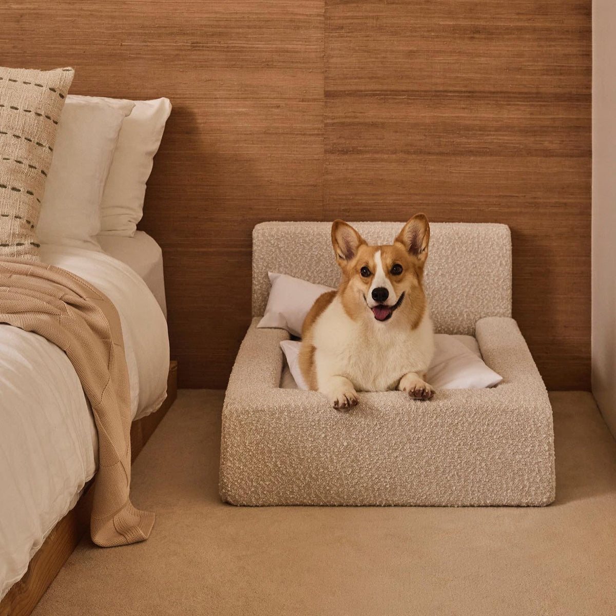 Modern Rectangular Pet Sofa Bed
