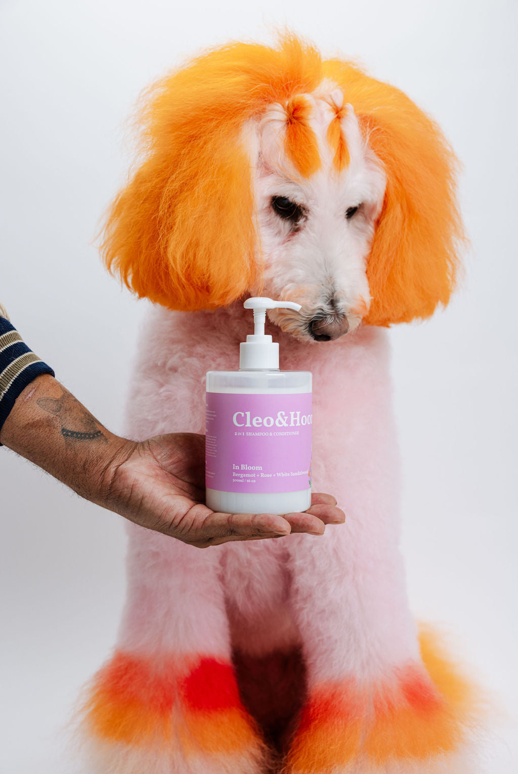 In Bloom — Dog Shampoo & Conditioner Duo