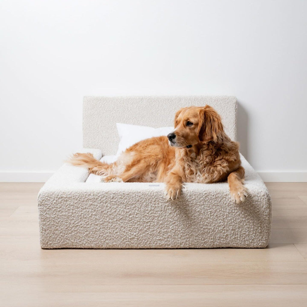 Modern Rectangular Pet Sofa Bed