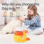 Interactive Duck Puzzle Feeder