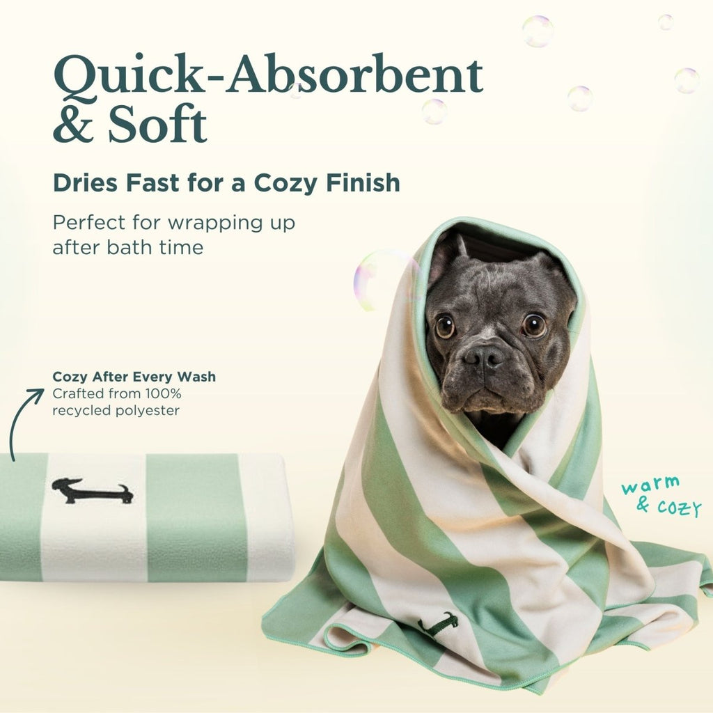 Dog Bath & Grooming Kit