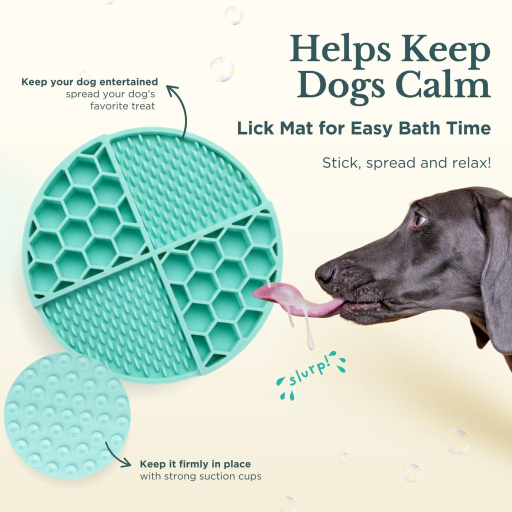 Dog Bath & Grooming Kit