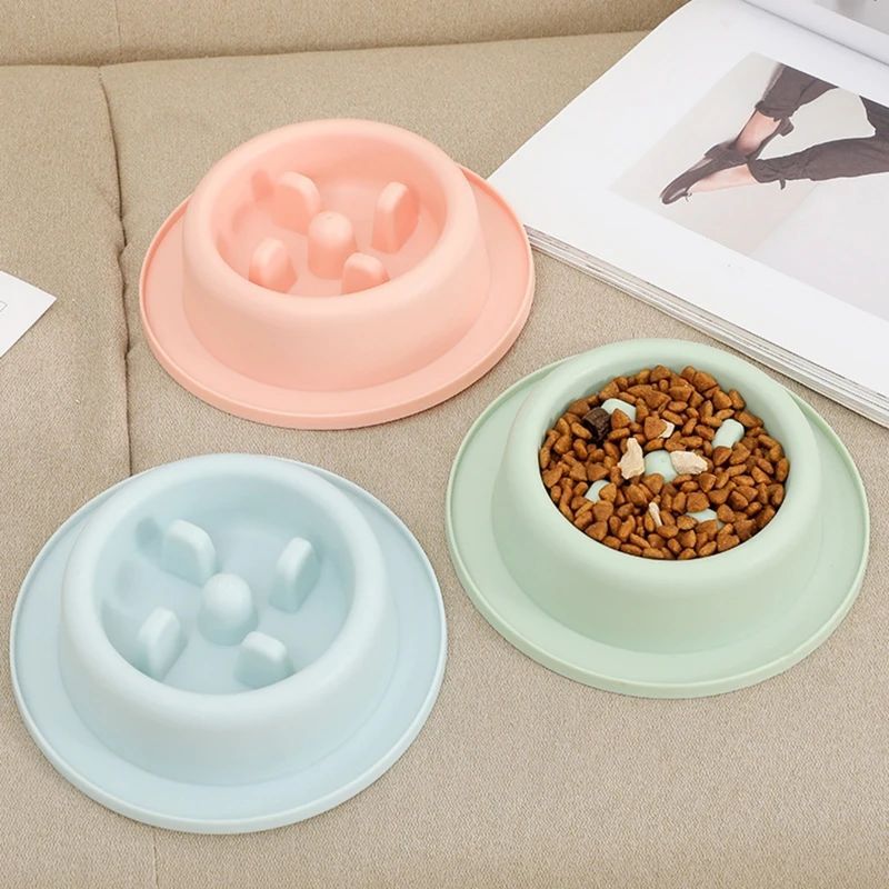 Slow-Feeder Dog Bowl