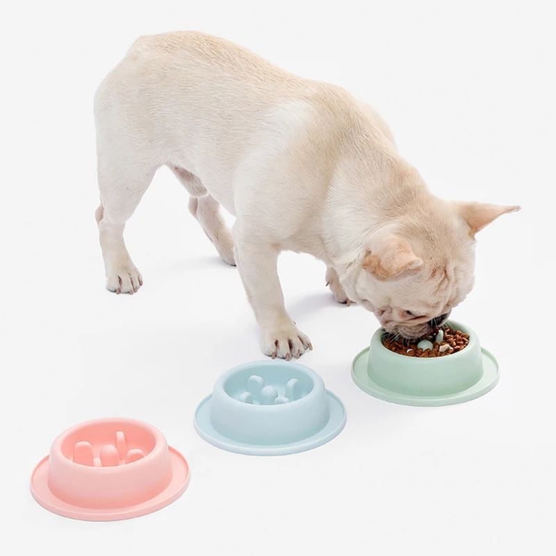 Slow-Feeder Dog Bowl