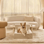 Modern Rectangular Pet Sofa Bed